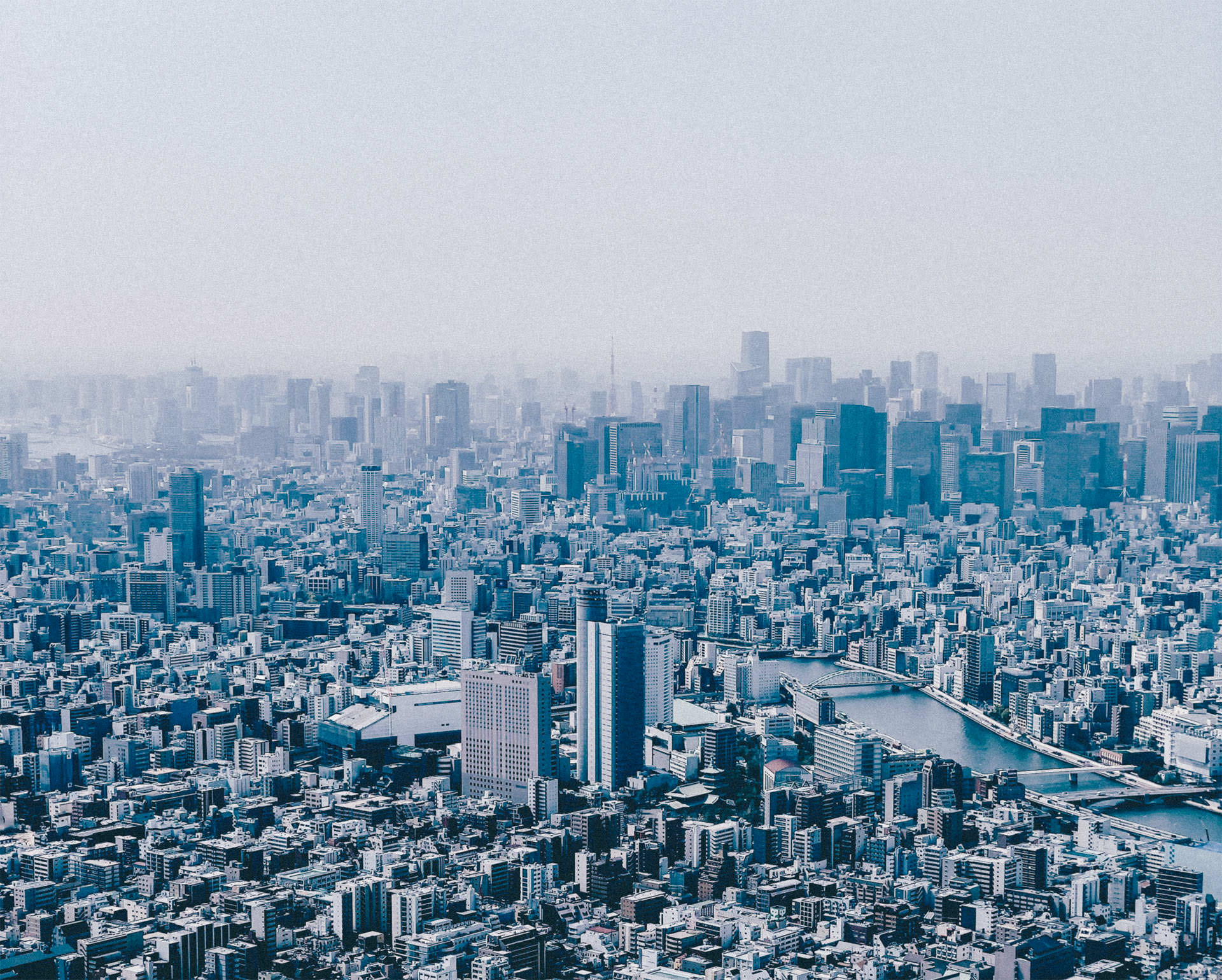 K. International School Tokyo